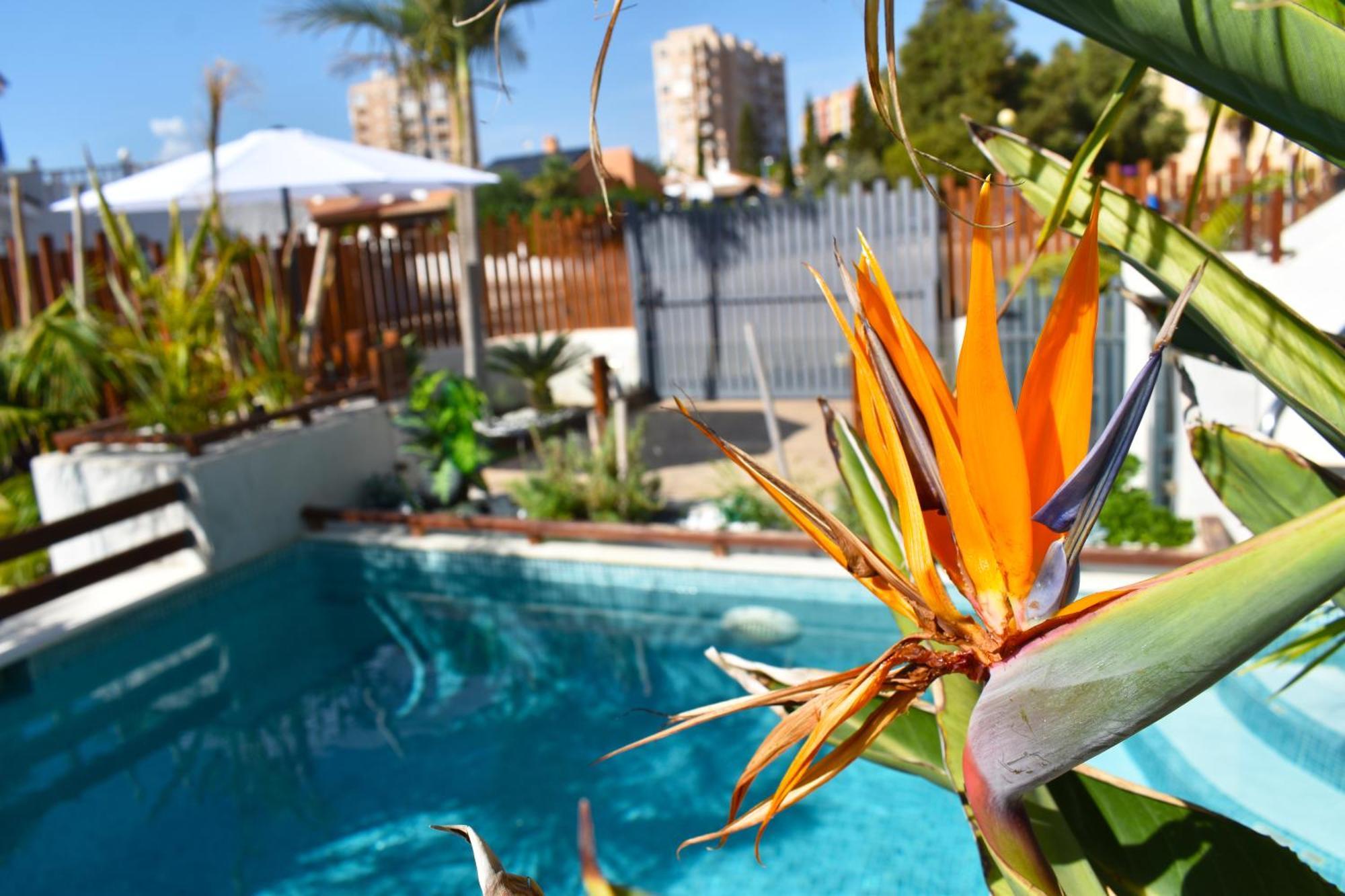 Apart Turisticos Marine Rest La Manga Mar Menor Piscinas Privadas Playa Paraiso  Eksteriør bilde